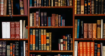 The Right to Disconnect Law