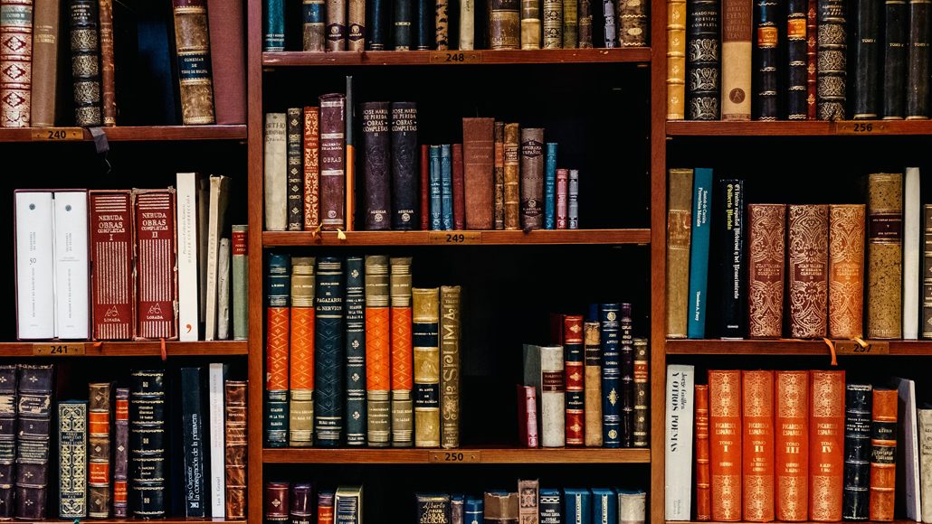 The Right to Disconnect Law: Navigating Its Pros, Cons, and Top Strategies for Success