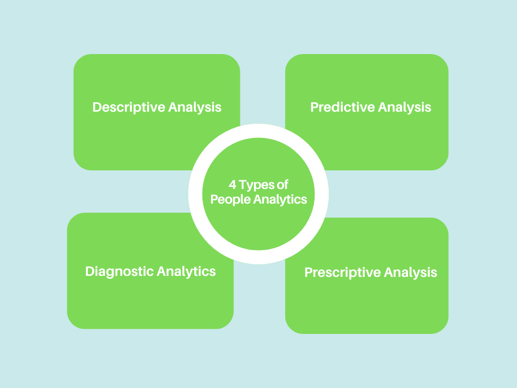 What Are People Analytics Tools?