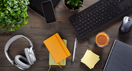 Everything You Need to Know About Workplace Wellness